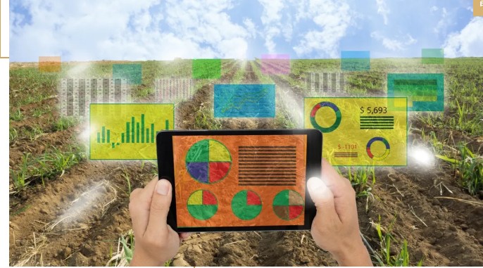 馬云說“致富未來在農(nóng)村”,那么農(nóng)村未來的致富人群是哪類人？