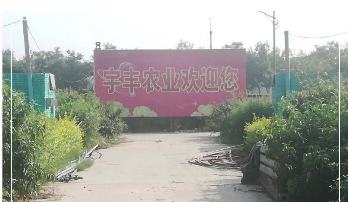 建一個市場、興一方產(chǎn)業(yè)、富一方百姓，孝義農(nóng)產(chǎn)品大市場產(chǎn)供銷一體化在行動！