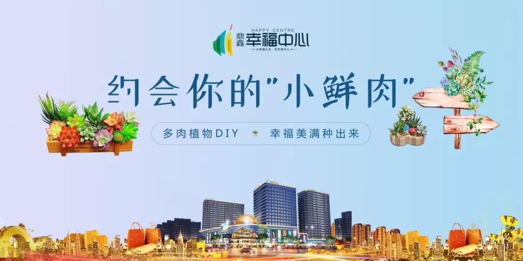 約會(huì)你的“小鮮肉” 多肉植物DIY，幸福美滿種出來