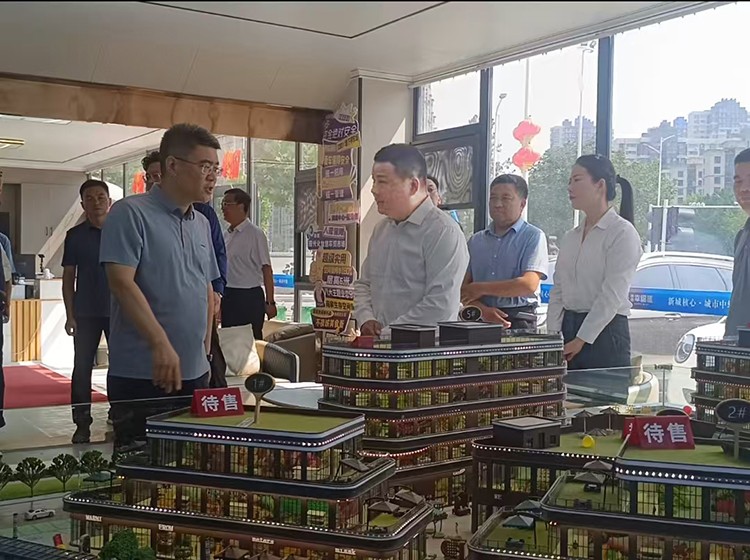 河南通許縣領(lǐng)導一行蒞臨【鼎鑫?幸福滙】考察